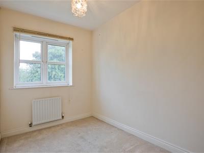 Picture 25